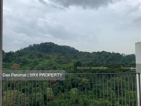 The Skywoods (D23), Condominium #282500621